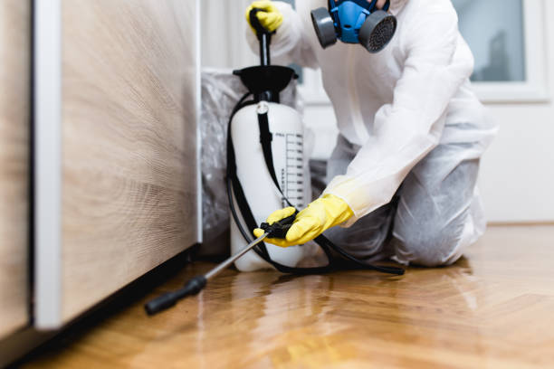 Best Affordable Pest Control Services  in Palmyra, WI