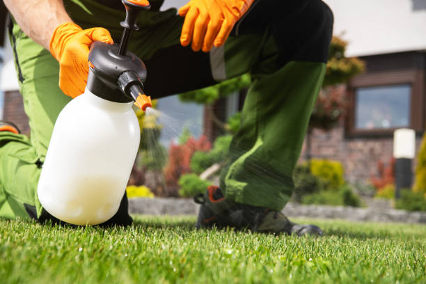 Best Exterminator Services  in Palmyra, WI