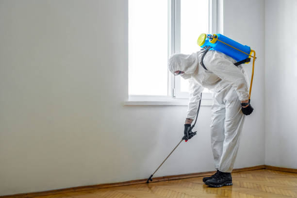 Best Emergency Pest Control  in Palmyra, WI