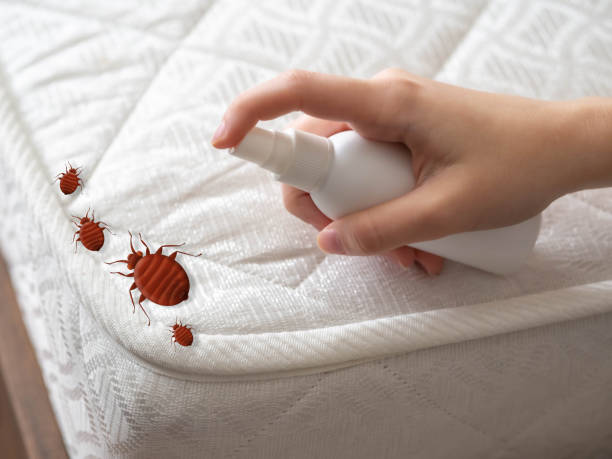 Pest Prevention Services in Palmyra, WI