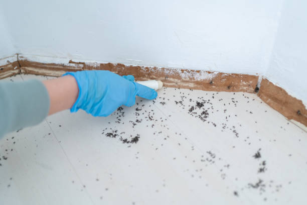 Best Best Pest Control Companies  in Palmyra, WI